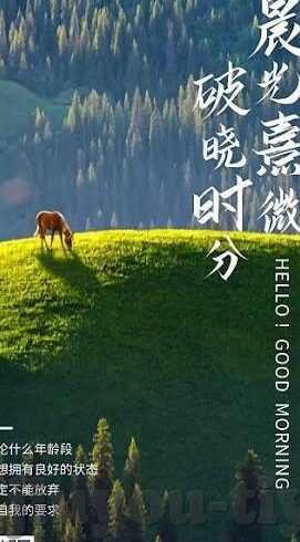 奥运足球比分网-探秘奥运足球比分网，数据背后的激情与梦想