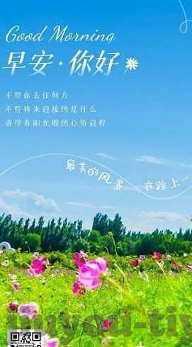 竞猜比分足球-揭秘竞猜比分足球，技巧、策略与心态管理的全攻略