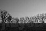 足球澳门足球比分-澳门足球比分，绿茵场上的激情与数字交响