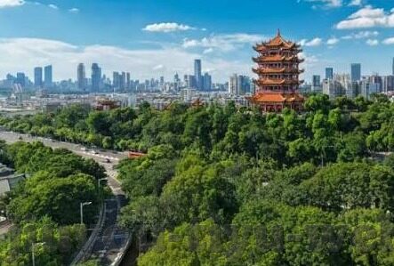 足球比分足球既时比分-足球比分，实时脉搏下的绿茵激情与数据狂欢
