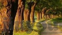 足球及时比分预测-足球及时比分预测，科技赋能下的精准博弈与理性观赛